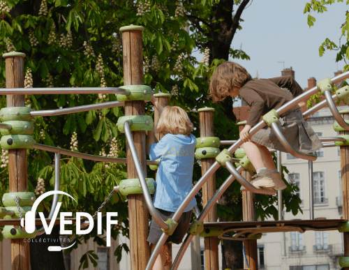 VEDIF COLLECTIVITE (1)