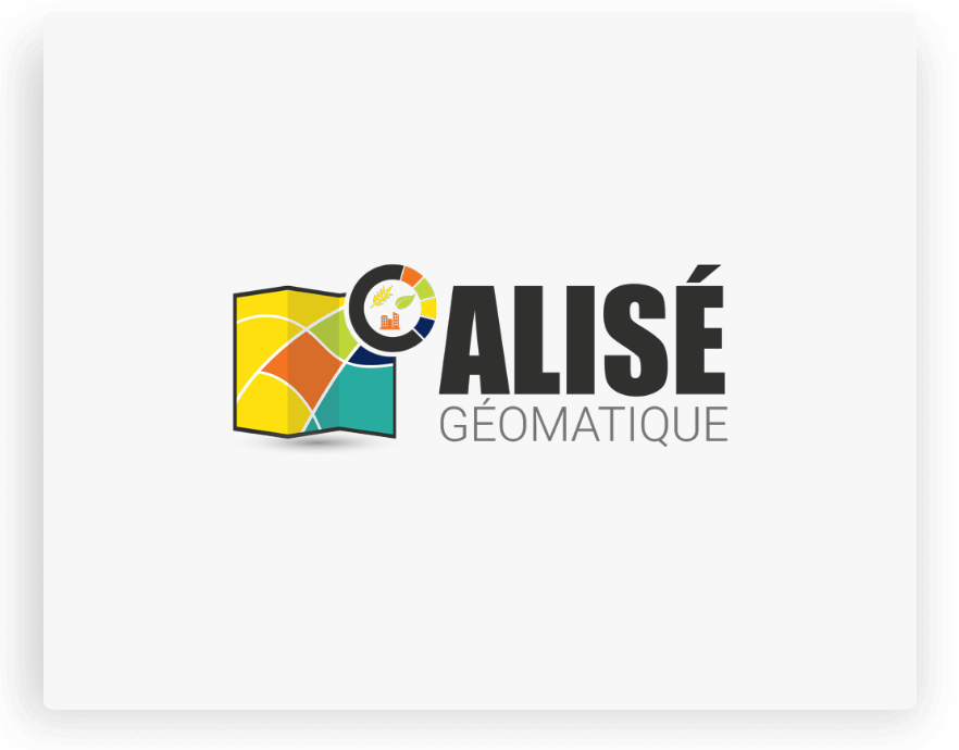 Alisé Géomatique Creation Site Internet Logotype